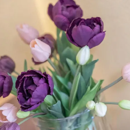 - Rubin Vakantiehuis *